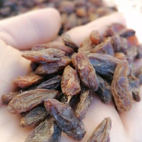 تصویر 3 از کشمش گله شیرین و یکدست برای مصارف خانگی و صنعتی