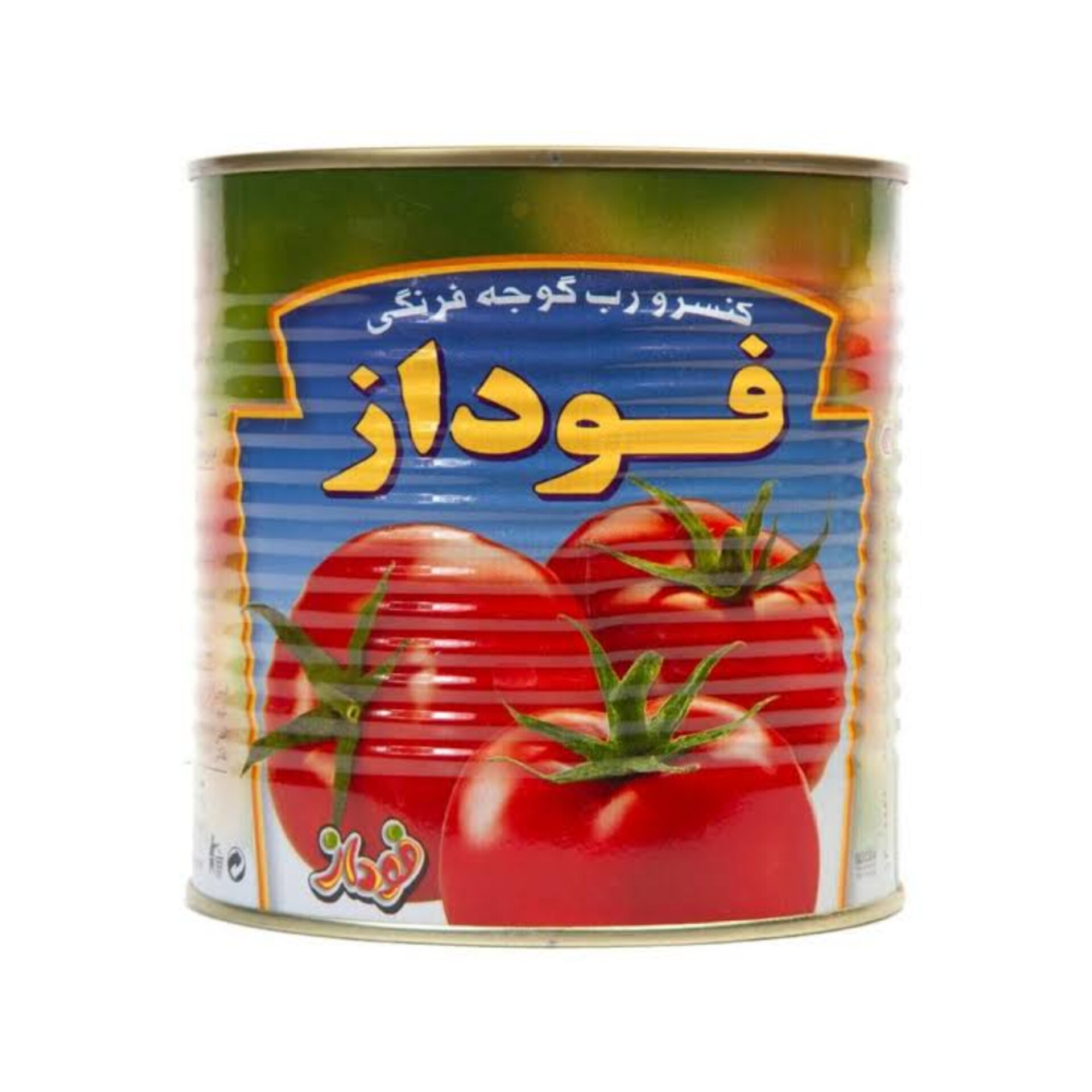 خرید رب گوجه فرنگی فوداز عمده با قیمت مستقیم از تولید کننده