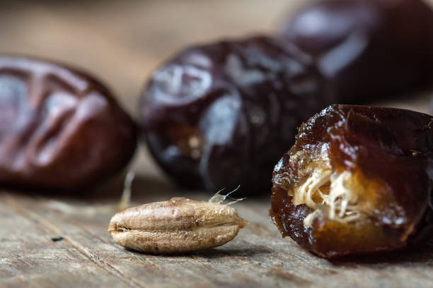 تصویر 2 از خرما مضافتی رطب طبیعی و سالم ممتاز