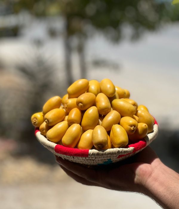 تصویر 4 از خرما خارک درجه یک سرشار از آنتی اکسیدان های طبیعی مفید تازه و سالم