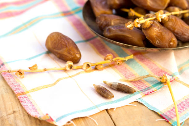 خرما مضافتی درجه یک با ظاهر یکدست و خوش فرم