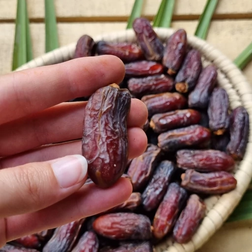 خرما شاهانی مرغوب مناطق جهرم با شیرینی ملایم و بافتی نرم انتخابی خوش طعم