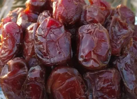 تصویر 2 از خرما قشقایی درجه یک سرشار از قند طبیعی مفید جهت تامین انرژی انتخابی سالم و مقوی