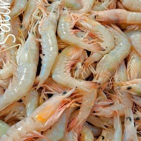 تصویر 3 از میگو سرتیز درشت با ارزش غذایی بالا و مصرف گسترده