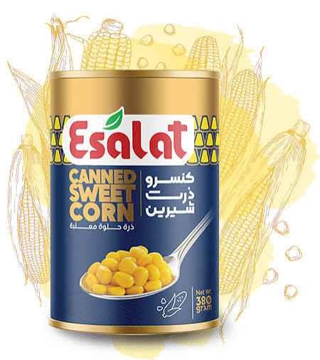 تصویر 4 از کنسرو ذرت اصالت با کیفیت طبیعی و تازه