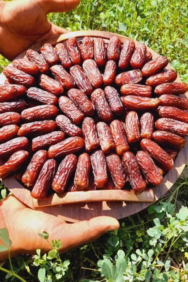 خرما پیارم حاجی‌آباد؛ انتخابی ممتاز برای بازار داخلی