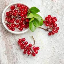 قیمت زرشک تازه