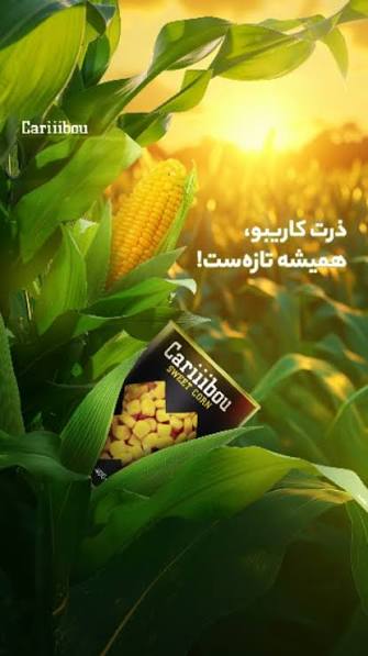 تصویر 4 از کنسرو ذرت کاریبو دانه های طلایی تازه و خوش طعم