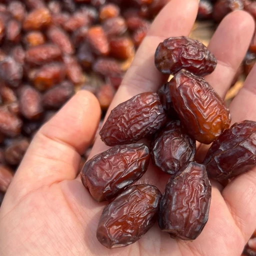 تصویر 4 از خرمای پیارم مروارید سیاه گوشتی تازه انرژی زا