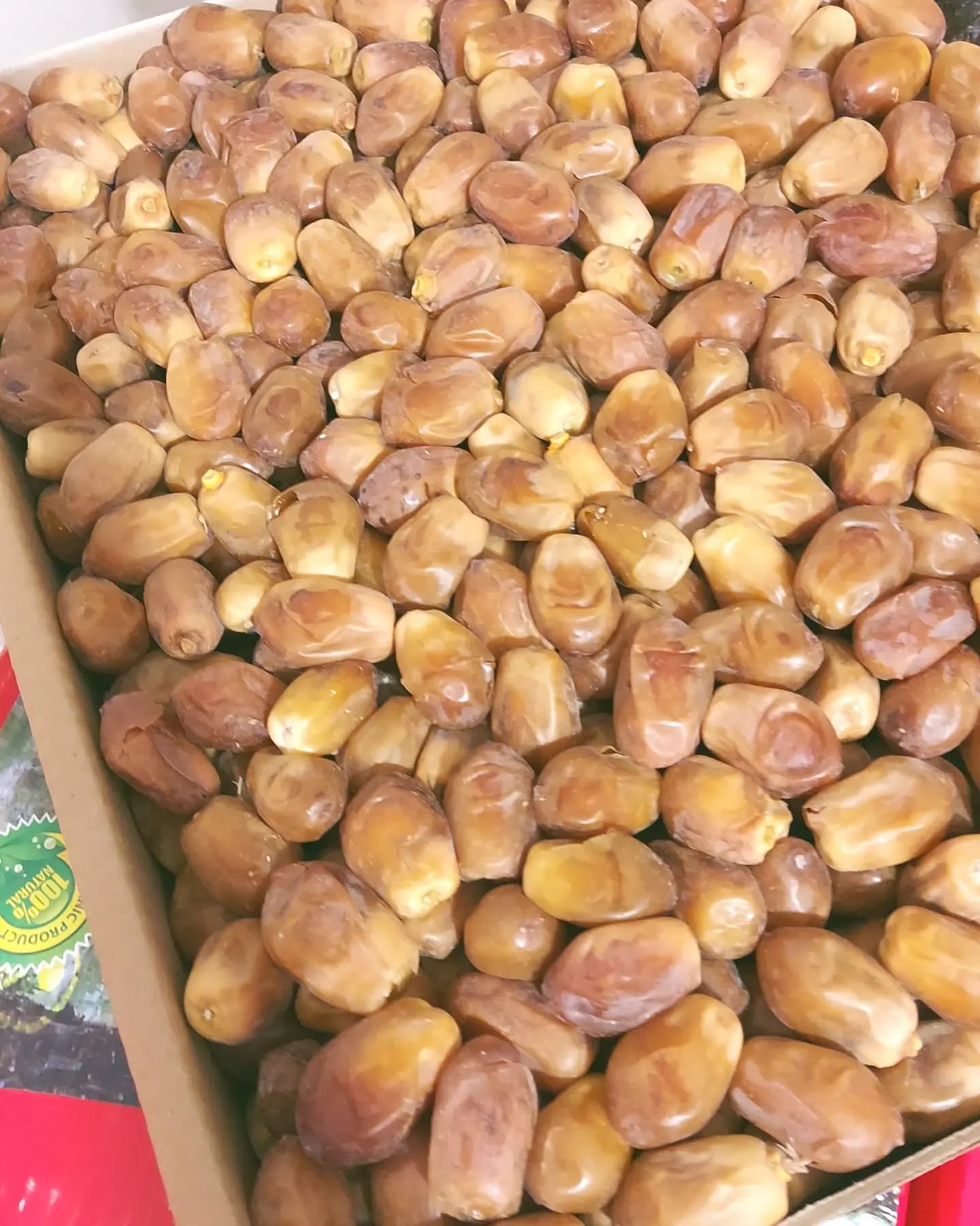 خرما مجلسی