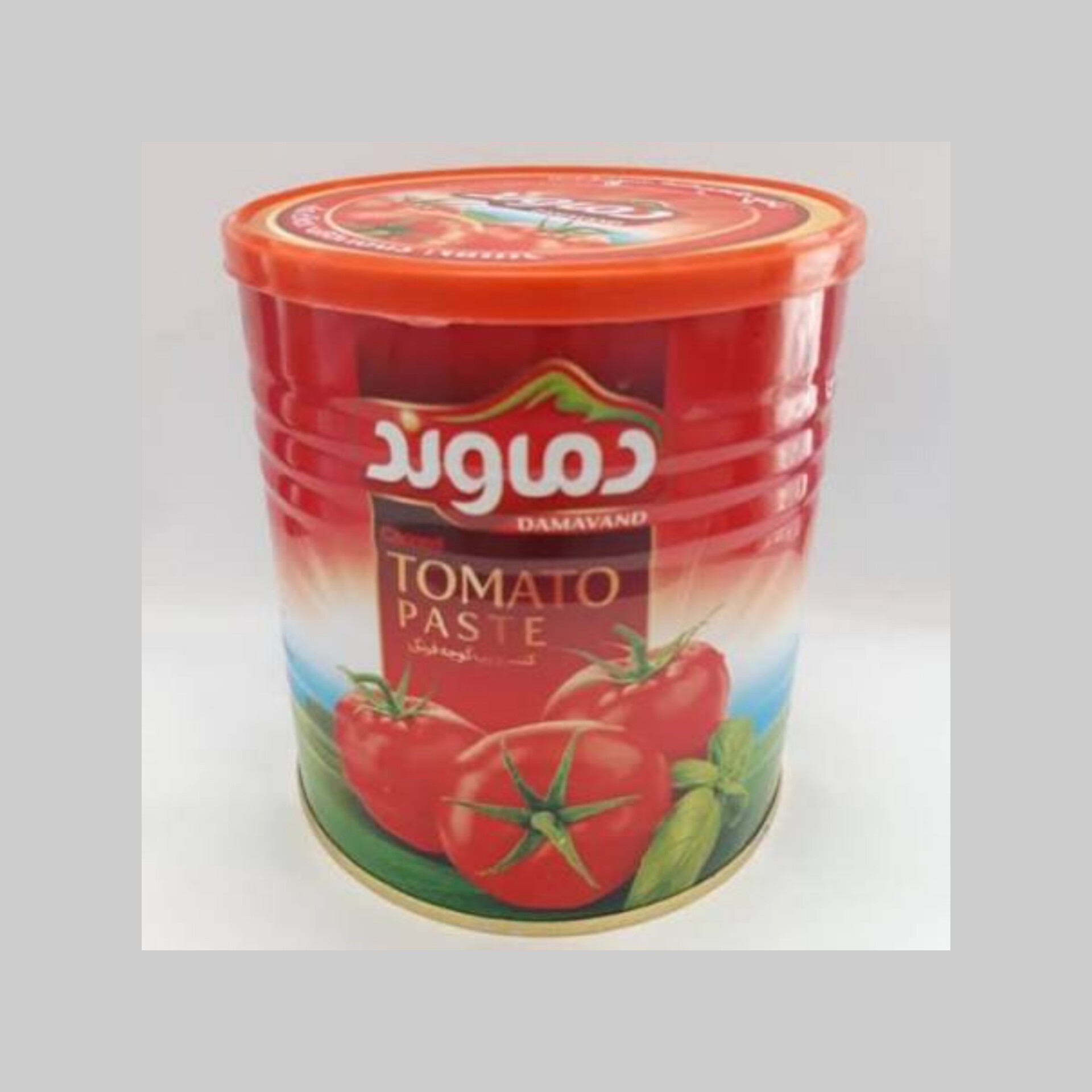 صادرات رب گوجه فرنگی