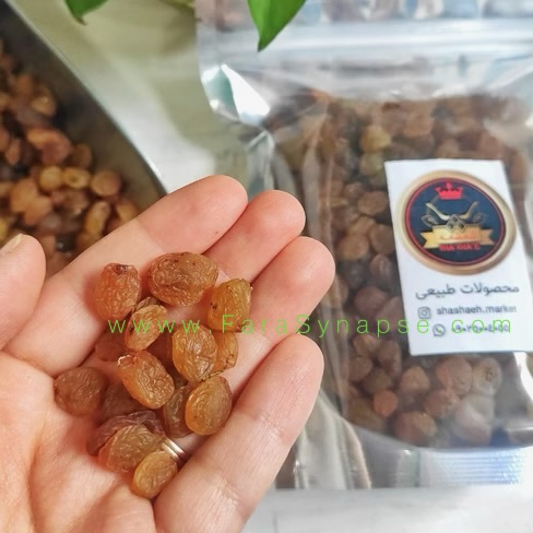 تصویر 4 از کشمش پلویی طلایی درجه یک
