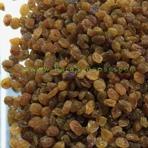 تصویر 2 از خرید کشمش پلویی بدون واسطه