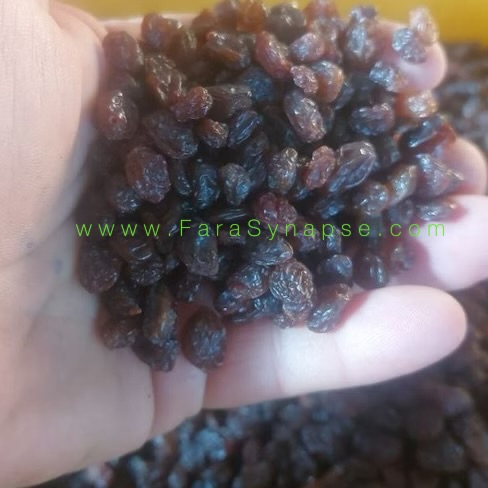 تصویر 4 از قیمت عمده کشمش پلویی