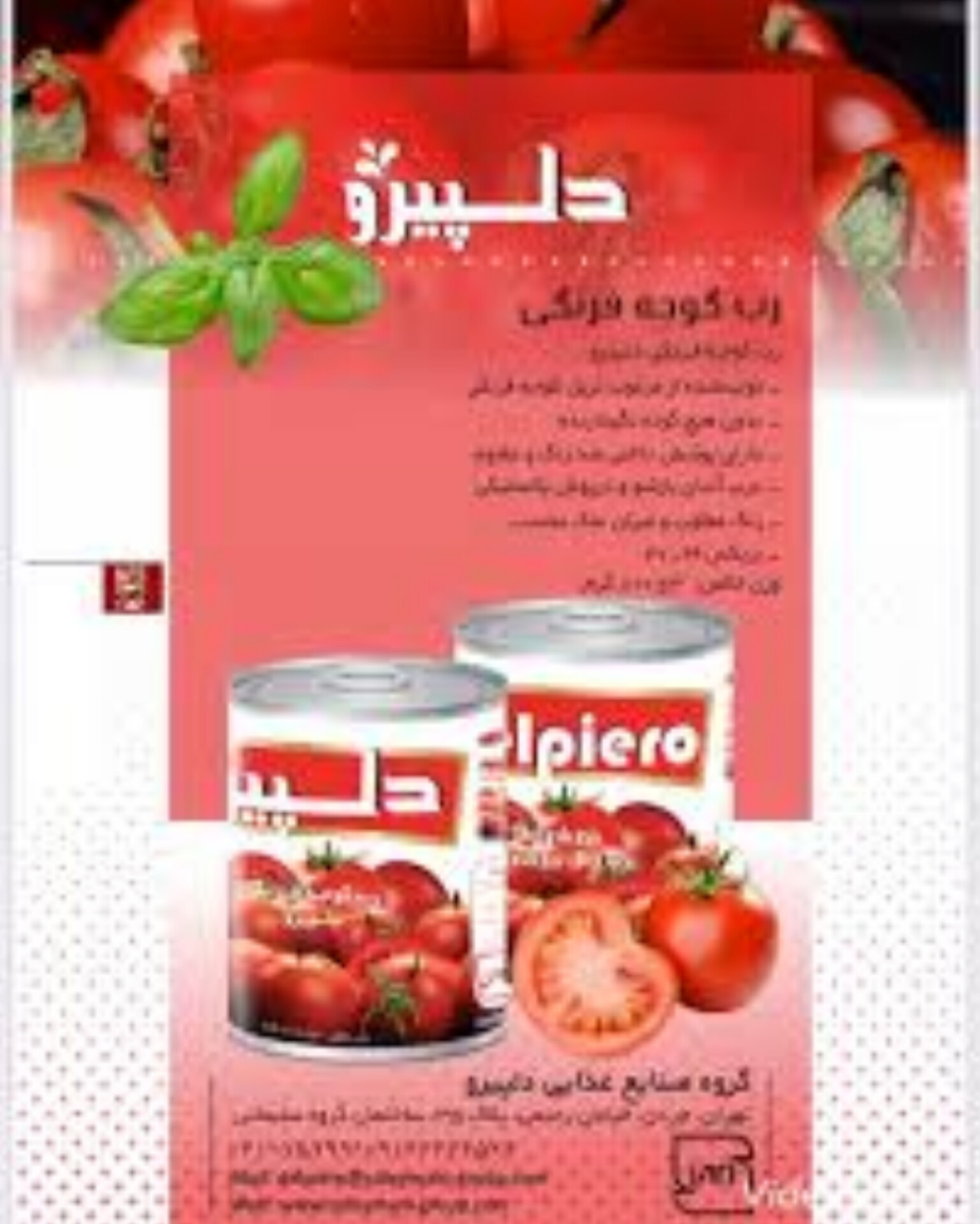 خرید رب گوجه برای صنایع غذایی