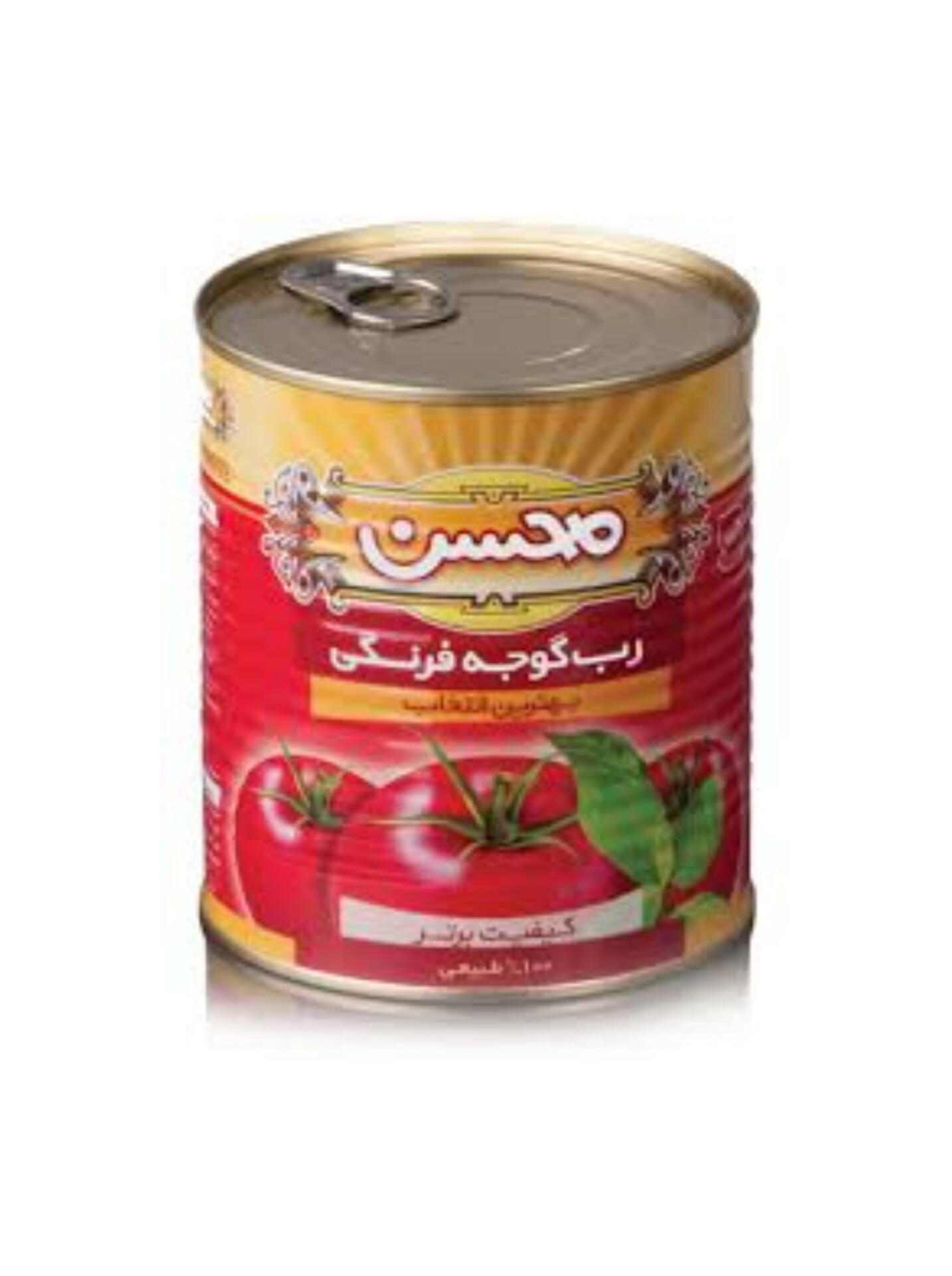 بهترین کارخانه رب گوجه فرنگی ایران