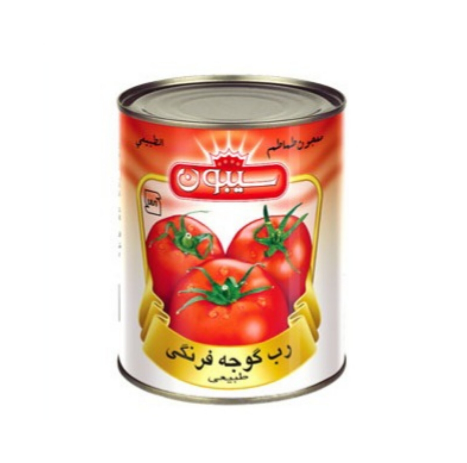 قیمت کارخانه رب گوجه فرنگی ممتاز