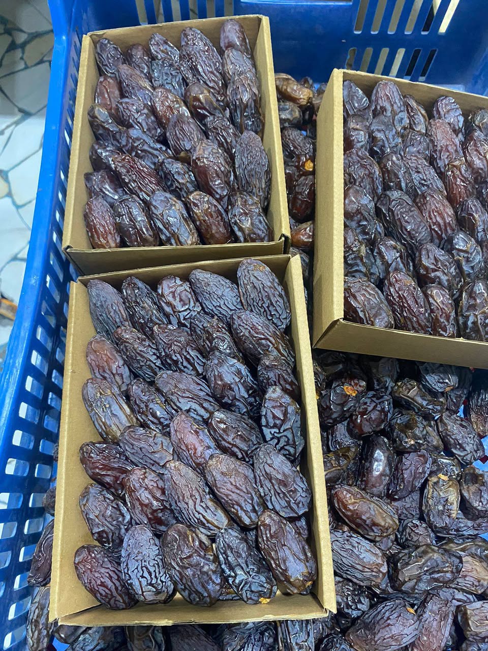 تصویر 3 از خرید عمده خرما مجول درجه 1