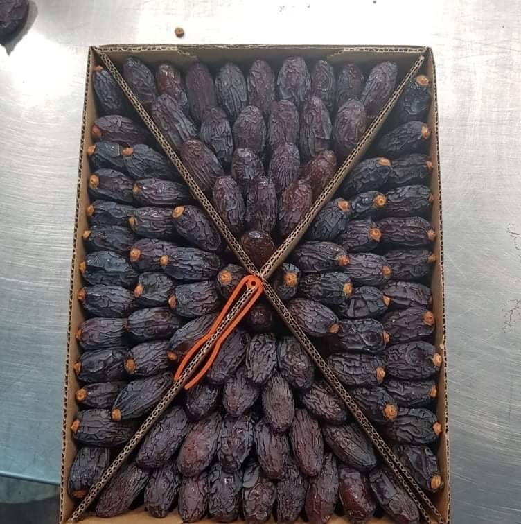 تصویر 2 از خرید خرما مجول از تولیدکننده معتبر