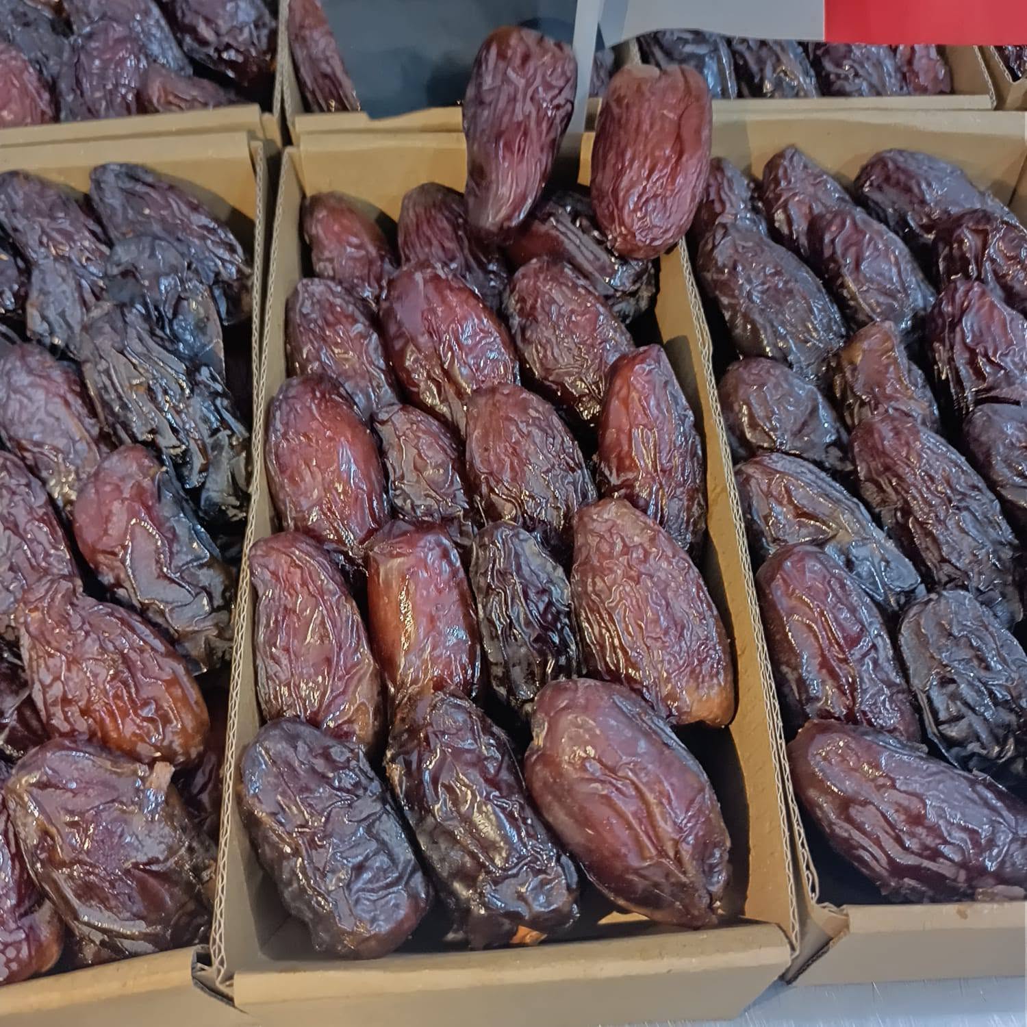 تصویر 1 از خرید خرما مجول مراکشی
