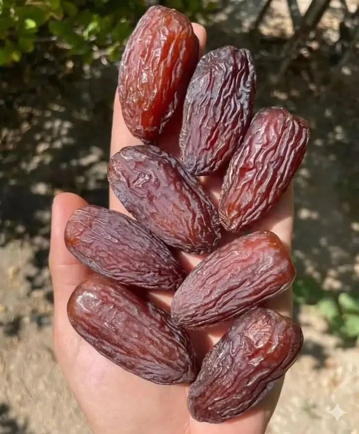 تصویر 2 از قیمت عمده خرما مجول مراکشی