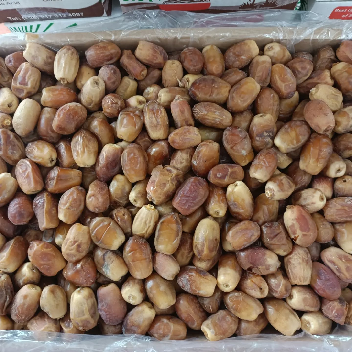 تصویر 3 از خرید مستقیم خرما زاهدی با قیمت مناسب