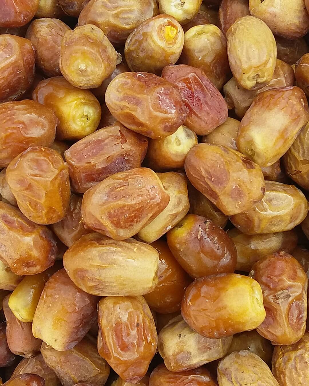 خرما زاهدی با کیفیت و بسته‌بندی حرفه‌ای