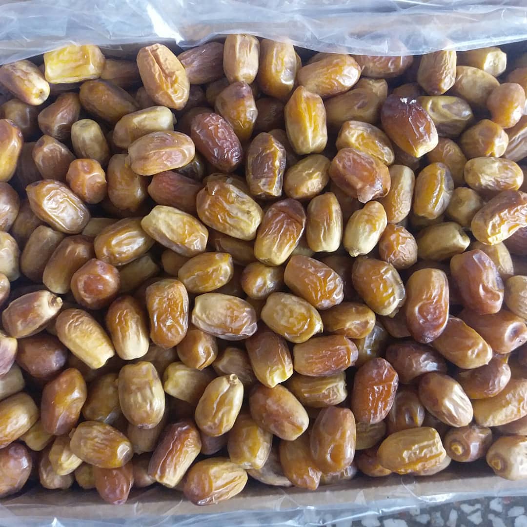 خرید عمده خرما زاهدی با کیفیت بالا