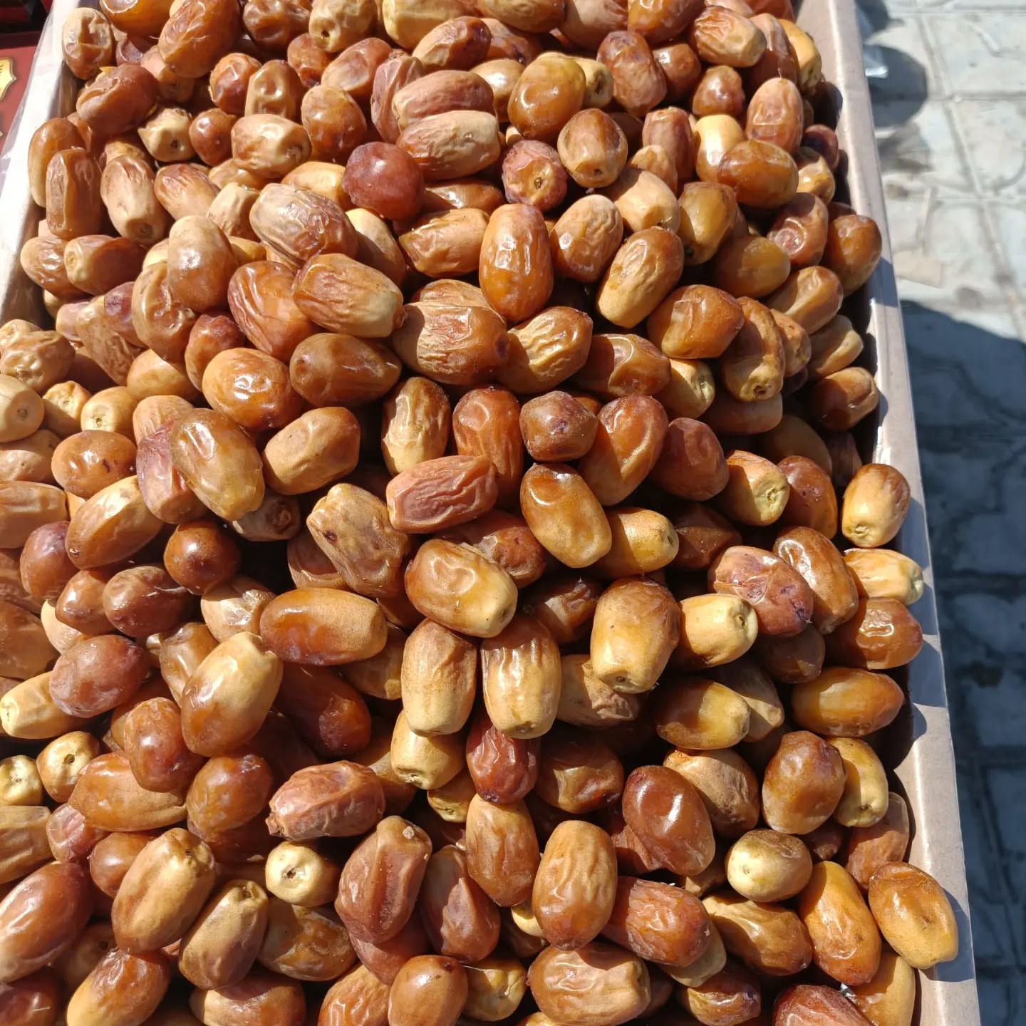 تصویر 3 از خرید عمده خرما زاهدی با کیفیت بالا