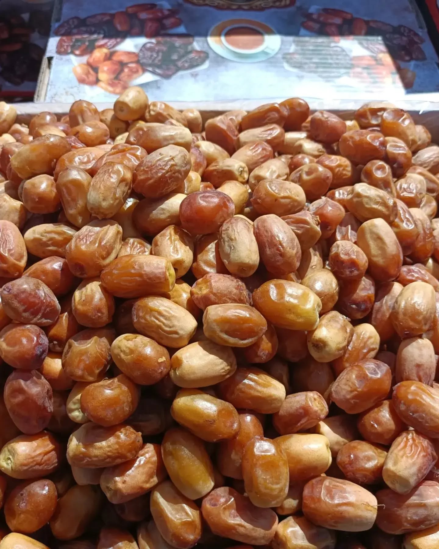 تصویر 4 از خرید عمده خرما زاهدی با کیفیت بالا