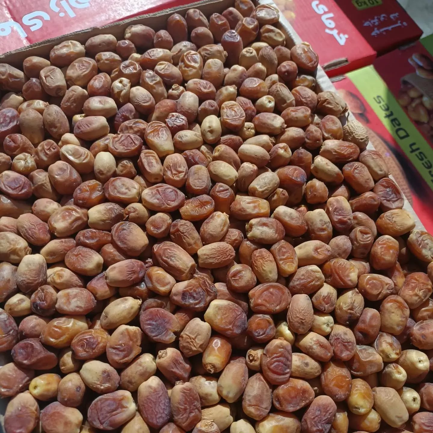 تصویر 3 از مرکز فروش عمده خرما زاهدی در ایران
