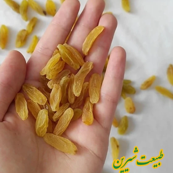 تصویر 4 از قیمت کشمش طلایی پلویی