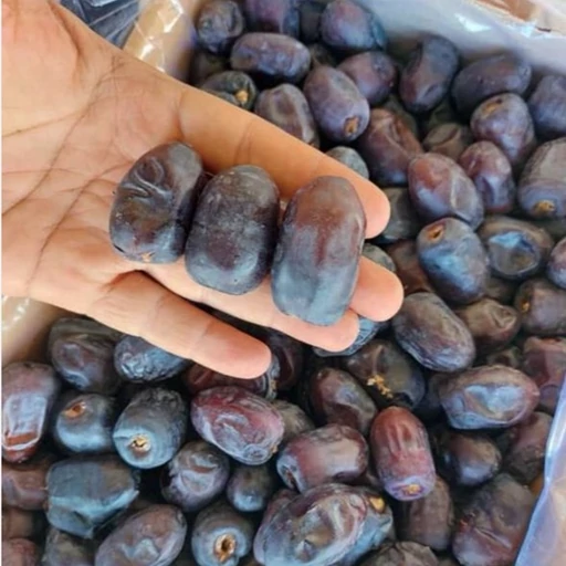 تصویر 4 از خرما مضافتی جعبه ای انتخابی مناسب فروشگاه ها و مصرف خانگی