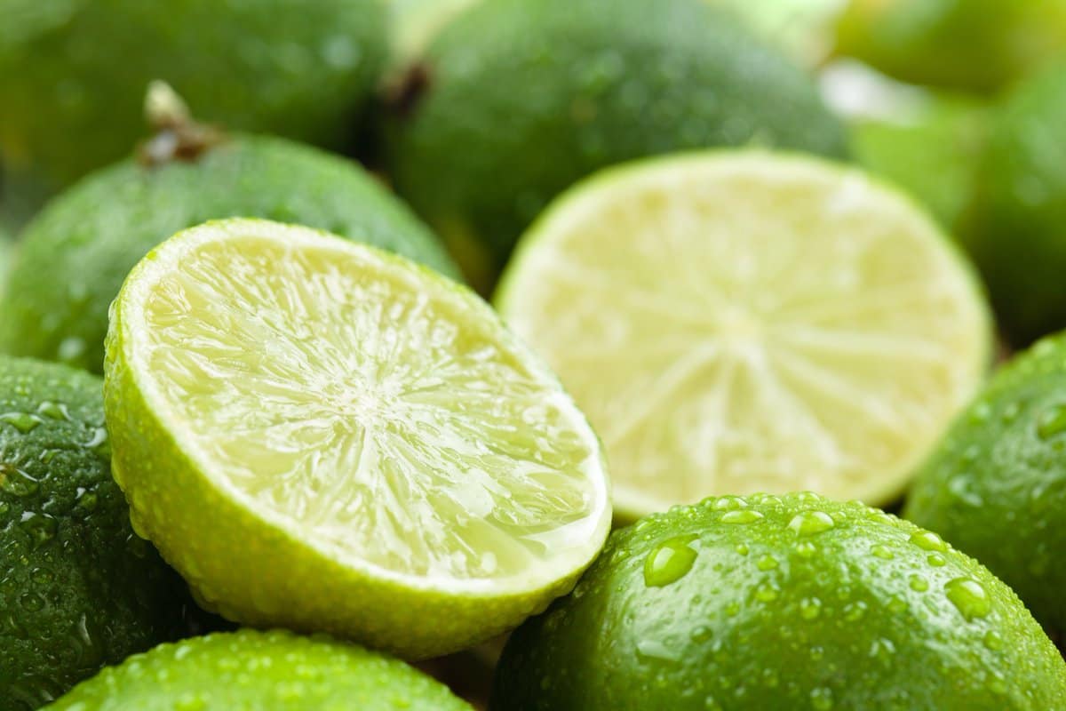 تصویر 1 از لیمو ترش شیرین کمیاب مناسب تهیه دسرهای خاص خانگی