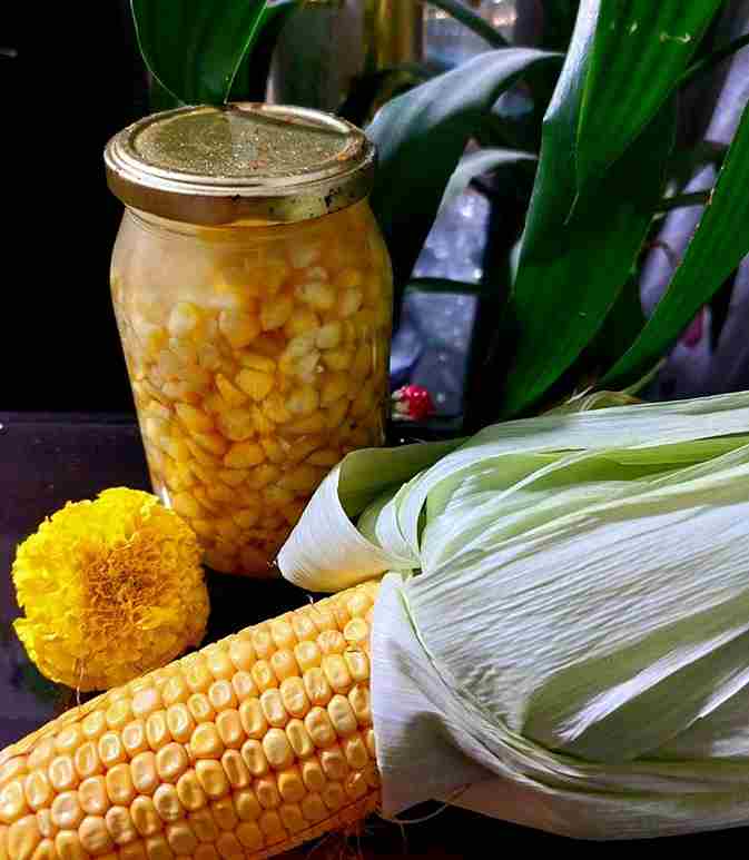 تصویر 4 از کنسرو ذرت آروم آدا دانه های طلایی خوش رنگ