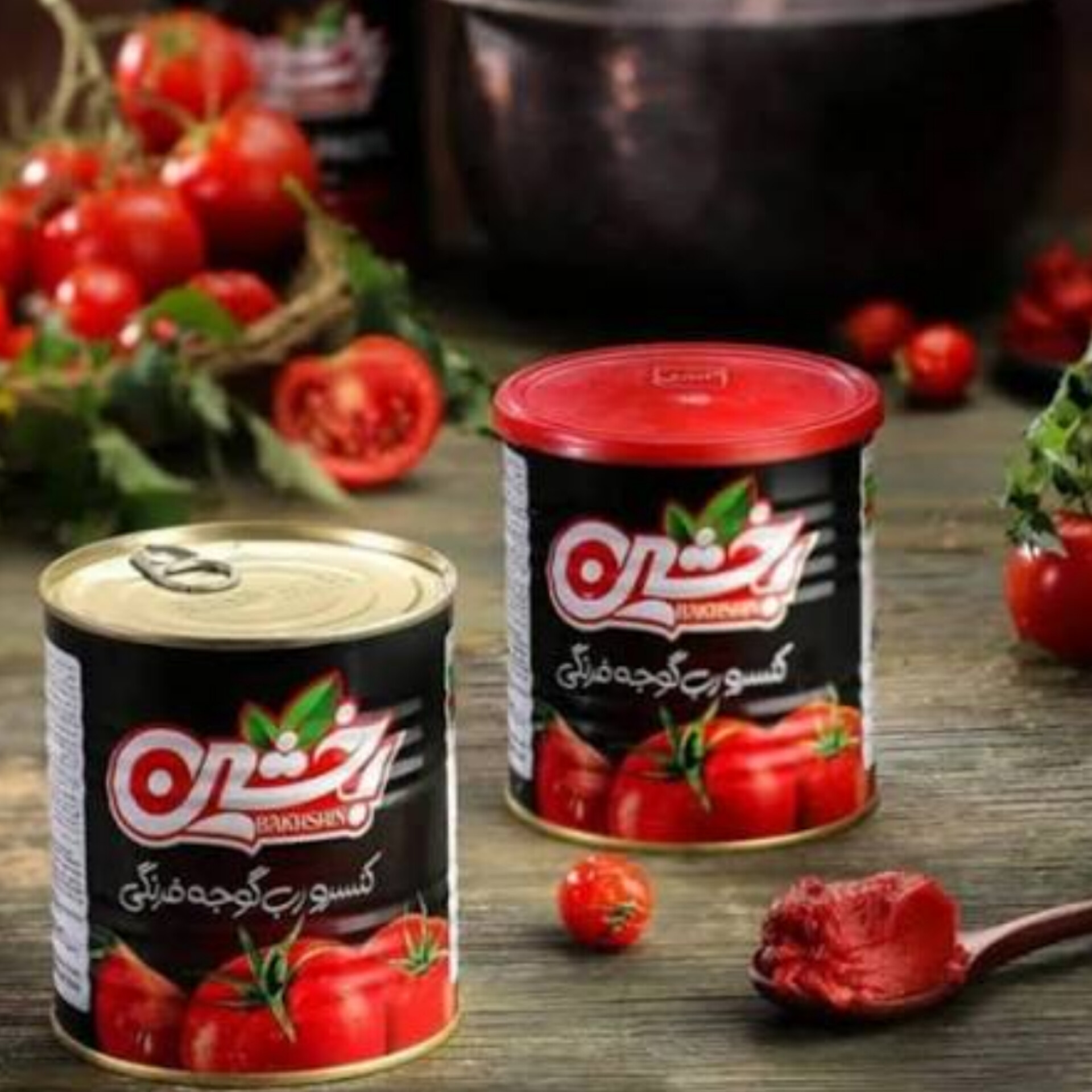 خرید عمده رب گوجه فرنگی ویژه بازار اروپا