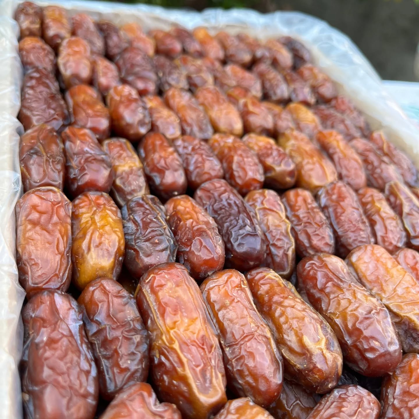تصویر 2 از خرید عمده خرما پیارم درجه 2