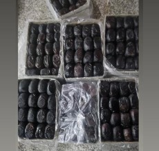تصویر 3 از خرما مضافتی دو ردیفه با چینش منظم و ظاهر ممتاز