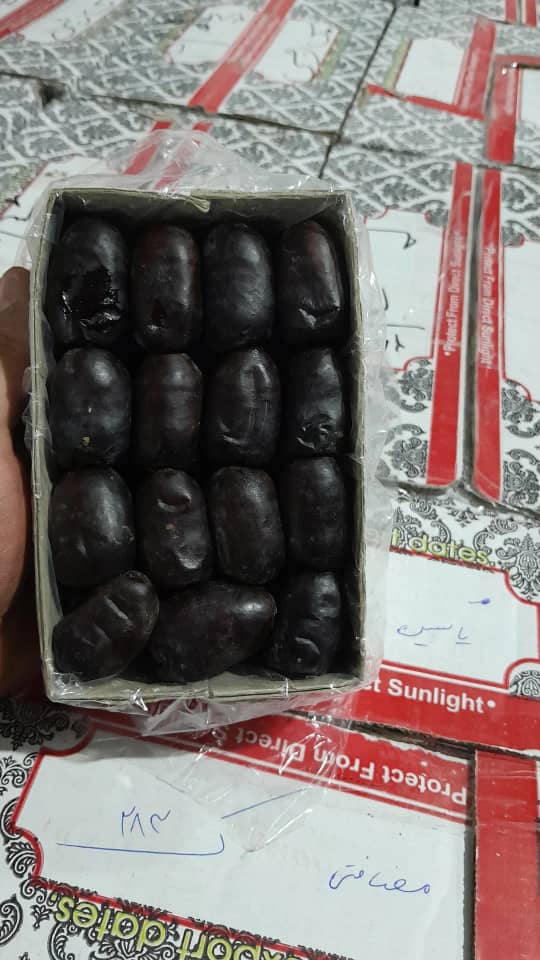 قیمت خرید خرما بم مضافتی + فروش ویژه