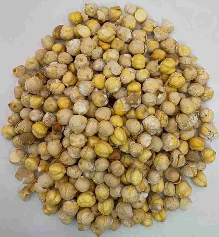 خرید نخودچی ریز