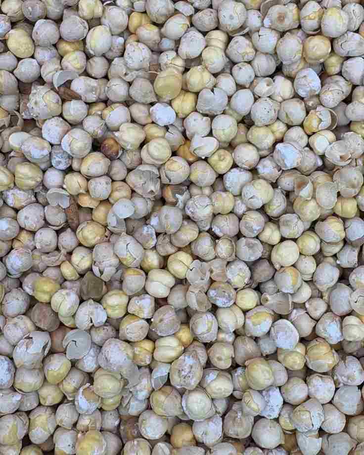 تصویر 4 از نخودچی ریز با پوست تهیه شده از نخود مرغوب