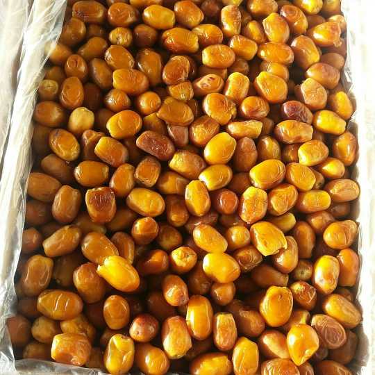 خرید عمده خرما زاهدی از تولیدکننده؛ راهکاری برای تأمین پایدار