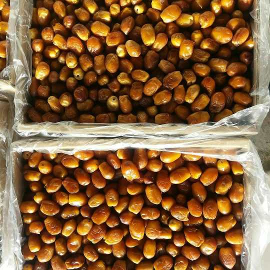 تصویر 2 از خرید عمده خرما زاهدی از تولیدکننده؛ راهکاری برای تأمین پایدار