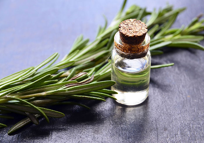 تصویر 2 از روغن رزماری راهکار گیاهی کاهش خارش آزاردهنده پوست سر