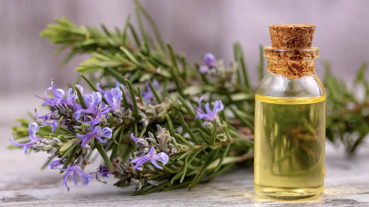 تصویر 1 از روغن رزماری پیشنهاد عالی برای روتین زیبایی طبیعی روزانه