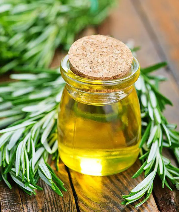 تصویر 4 از روغن رزماری راهنمای کامل تشخیص کیفیت نمونه های گیاهی