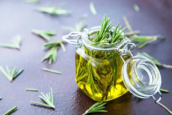 تصویر 4 از روغن رزماری انتخاب ایده آل مراقبت حرفه ای آرایشگران
