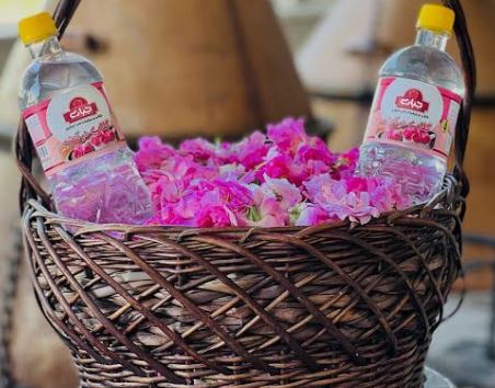 گلاب جباری تهیه شده از گل محمدی مرغوب
