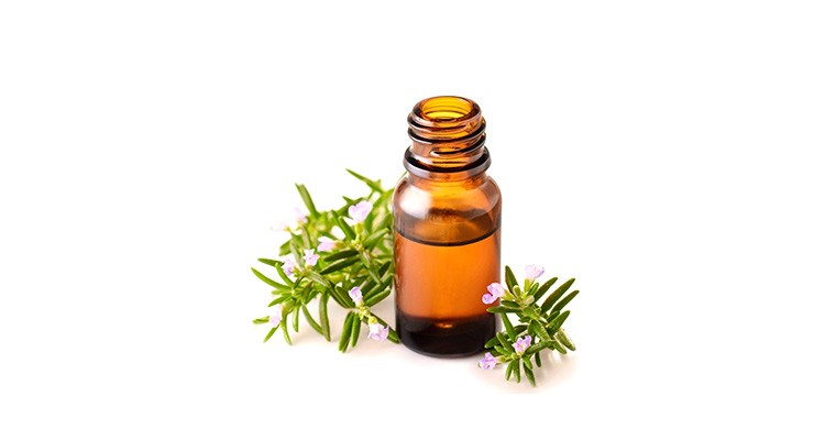 تصویر 4 از روغن رزماری مخصوص مراقبت روزانه پوست سر حساس خانگی