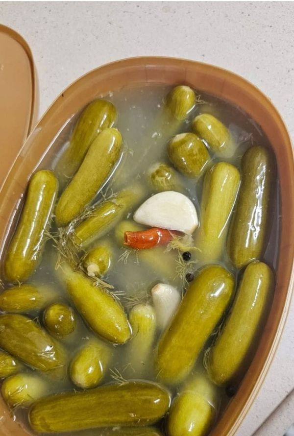 تصویر 3 از قیمت فروش عمده + خیارشور ویژه با بسته بندی ۲۰۰ گرمی